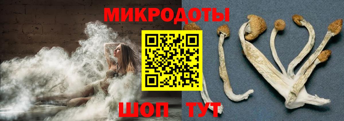Псилоцибиновые грибы Psilocybe  Псилоцибиновые грибы Psilocybine cubensis  Кириши  Вход с VPN 